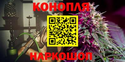 крисы Бийск