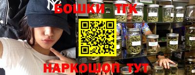 крисы Бийск