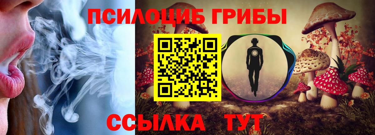 Галлюциногенные грибы MAGIC MUSHROOMS  Вход с VPN  Кириши 